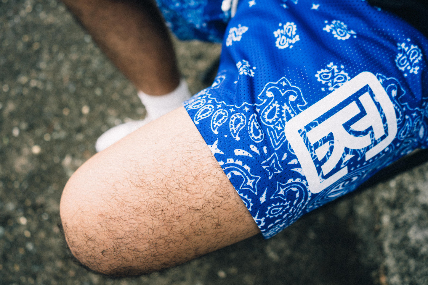 Bandana Paisley Mesh