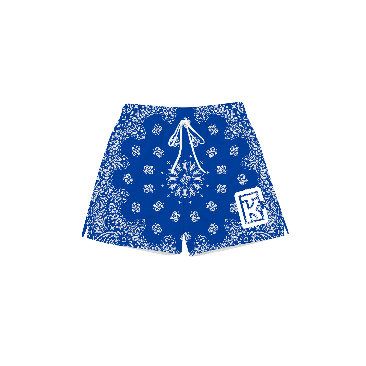 Bandana Paisley Mesh